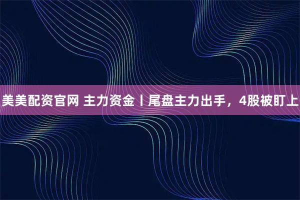 美美配资官网 主力资金丨尾盘主力出手，4股被盯上