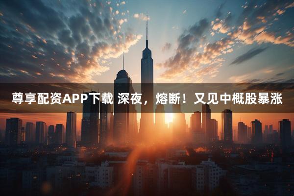 尊享配资APP下载 深夜,熔断!又见中概股暴涨